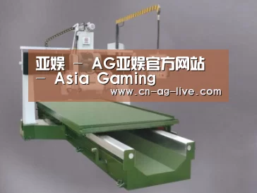 产品名称十