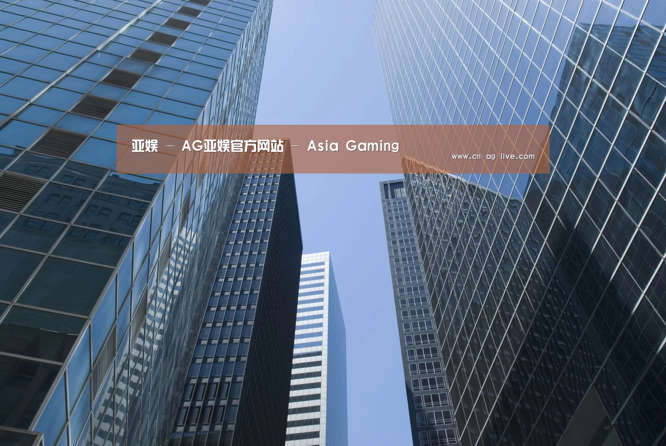 ag公司简介 