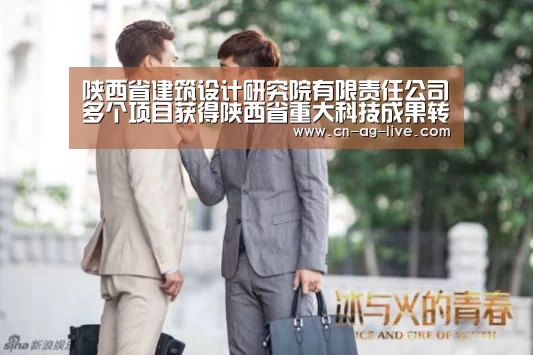 陕西省建筑设计研究院有限责任公司多个项目